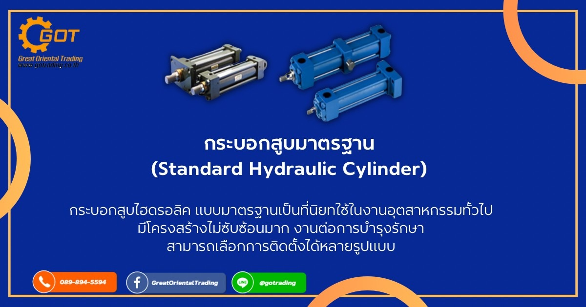กระบอกสูบไฮดรอลิค แบบมาตรฐานเป็นที่นิยทใช้ในงานอุตสาหกรรมทั้วไป มีโครงสร้างไม่ซับซ้อนมาก งานต่อการบำรุงรักษาสามารถเลือกการติดตั้งได้หลายรูปแบบ  รุ่นแรงดันต่ำ (Low Pressure 70 Bar) รุ่นที่แรงดันสูง (High Pressure 210 Bar) 