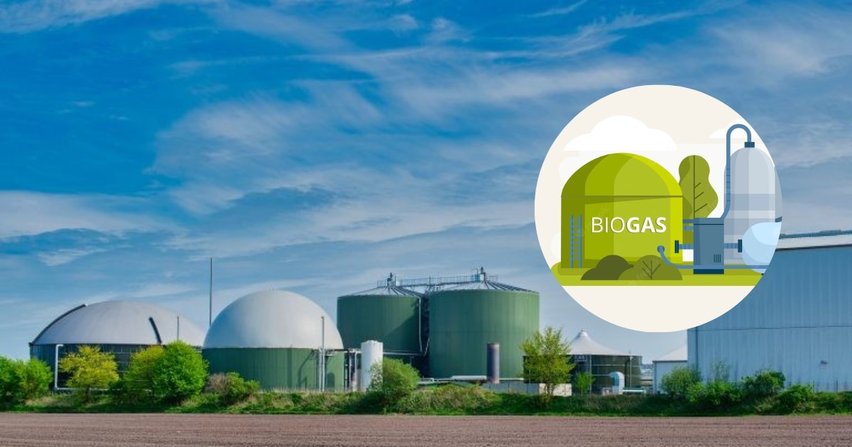 อุตสาหกรรมไบโอแก๊ส