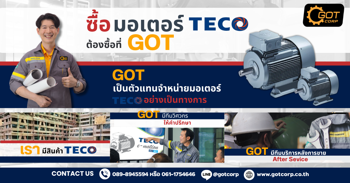 มอเตอร์ TECO >>ที่ทาง GOT จัดจำหน่าย มีดังนี้ IE2, IE3