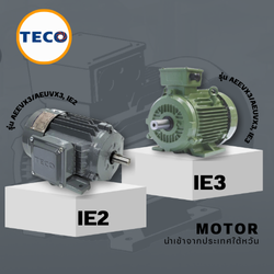 TECO MOTOR<br> 